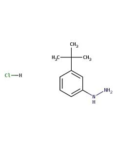Astatech 1-[3-(TERT-BUTYL)PHENYL]HYDRAZINE HYDROCHLORIDE; 0.1G; Purity 95%; MDL-MFCD00833404